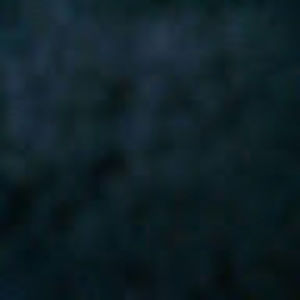 Meet your Posher, Rose